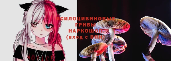 тгк Аркадак