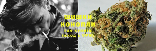 тгк Аркадак